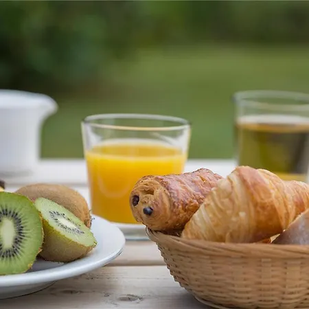 Otel Og Amys Tarbes Sud