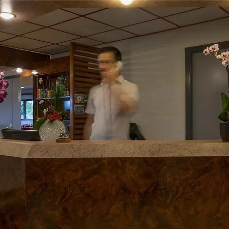 Otel Og Amys Tarbes Sud *