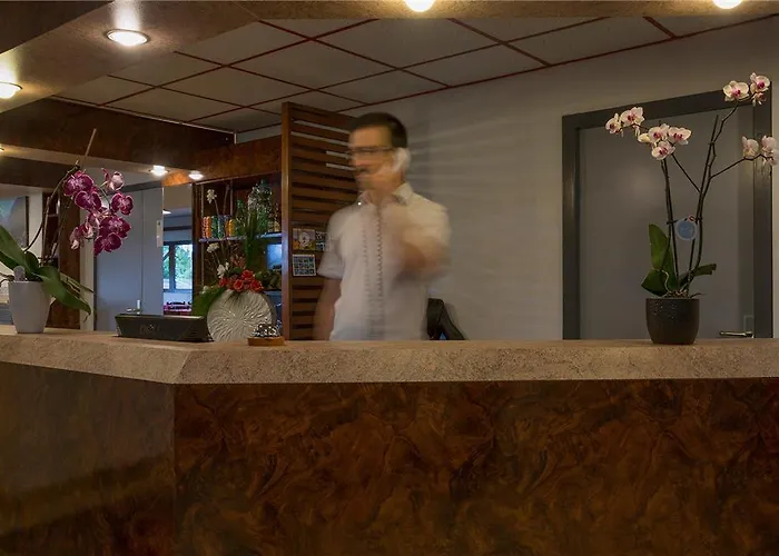 Отель Og Amys Tarbes Sud *